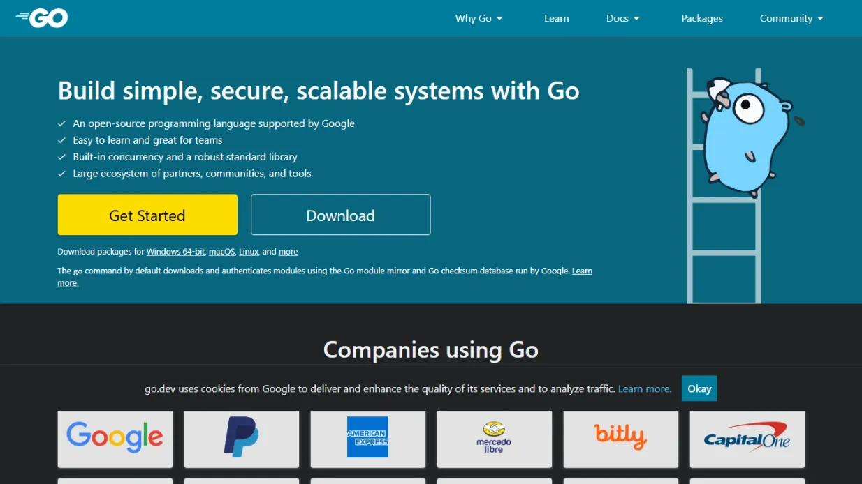 Belajar Golang dari Nol: Panduan Lengkap untuk Pemula
